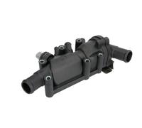 THERMOTEC D2G017TT Thermostat