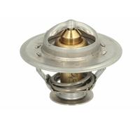 THERMOTEC D2JD008TT Thermostat