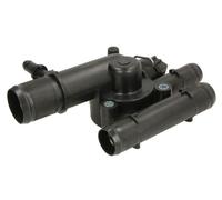 THERMOTEC D2R011TT Thermostat