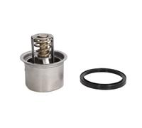 THERMOTEC D2RV004TT Thermostat