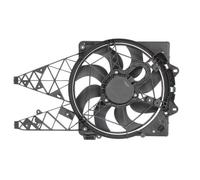 THERMOTEC D8F019TT Fan, radiator