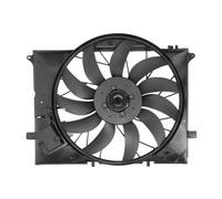 THERMOTEC D8M004TT Fan, radiator