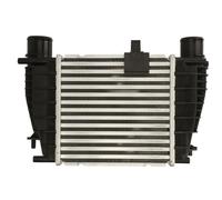 THERMOTEC DA1008TT Intercooler, charger for NISSAN,RENAULT