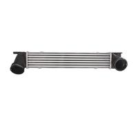 THERMOTEC DAB005TT Intercooler, charger for BMW