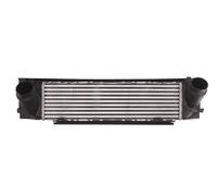 THERMOTEC DAB010TT Intercooler, charger for BMW
