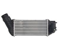 THERMOTEC DAC019TT Intercooler, charger for CITRO?N,DS,PEUGEOT