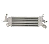 THERMOTEC DAC022TT Intercooler, charger for CITRO?N,MITSUBISHI,PEUGEOT