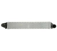 THERMOTEC DAG008TT Intercooler, charger for FORD,SEAT,VW