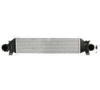 THERMOTEC DAG033TT Intercooler, charger for FORD