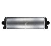 THERMOTEC DAM004TT Intercooler, charger for MERCEDES-BENZ,VW