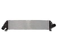 THERMOTEC DAV004TT Intercooler