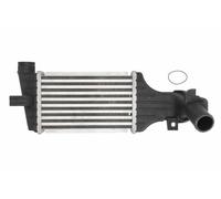 THERMOTEC DAX006TT Intercooler, charger OE REPLACEMENT