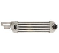 THERMOTEC DAX031TT Intercooler, charger for OPEL,VAUXHALL