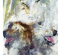 These Arms Are Snakes - Tail Swallower & Dove by These Arms Are Snakes (2008-10-07)