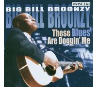 These Blues Are Doggin' Me by Big' Bill Broonzy