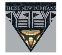 These New Puritans - Beat Pyramid