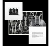 These New Puritans - Crooked Wing - Limited Clear Vinyl [Vinyl LP] [VINYL]