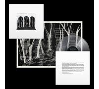 These New Puritans Crooked Wing (Vinyl) 12" Album (Clear vinyl) (US IMPORT)