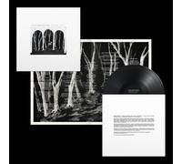 These New Puritans - Crooked Wing - Vinyl - Domino
