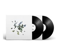 These New Puritans - Field of Reeds [VINYL]
