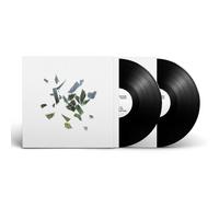 These New Puritans - Field of Reeds [VINYL]