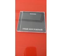 These New Puritans - Hidden