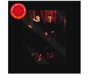 These New Puritans - Inside The Rose (Vinyl)