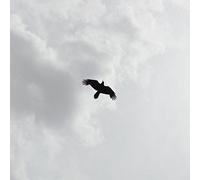 These Stars by Moon Bros