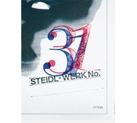 Theseus Chan: STEIDL-WERK No.31 - GHOSTS IN THE MACHINE: Limited edition of 500 (Steidl-werk, 31)