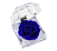 Thewasc ABS Jewelry Organizers Featuring Drying Plant Designs for Decorative Home Use and Efficient Accessory Management Home Decoration Box