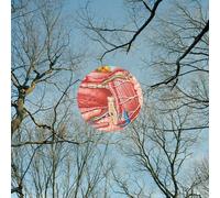 They Might Be Giants - Glean [Vinyl LP] [VINYL]