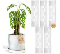 THICCLY V2 GrowPole - The Original Clear D-Shaped Moss Pole Monstera Support, Extendable Moss Poles for Climbing Plants Ideal for Philodendrons and Anthuriums - Stackable Poles for Plants (Medium)