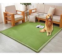 Thick 3cm Coral Velvet Area Rug Soft Non Slip Play Mat Ideal for Living Room Bedroom and Study Cozy and Floor Covering