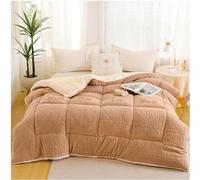 Thick and Super Soft Winter Quilt in Duvets, Warm Winter Quilt, Reversible Down Quilt, Thicken Lamb Cashmere Blanket, Single/Double for Home (Color : Blue Bleu, Size : 220x240cm(5kg))