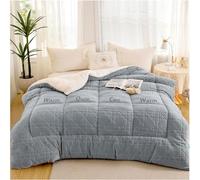 Thick and Super Soft Winter Quilt in Duvets, Warm Winter Quilt, Reversible Down Quilt, Thicken Lamb Cashmere Blanket, Single/Double for Home (Color : Blue Bleu, Size : 220x240cm(5kg))