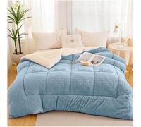 Thick and Super Soft Winter Quilt in Duvets, Warm Winter Quilt, Reversible Down Quilt, Thicken Lamb Cashmere Blanket, Single/Double for Home (Color : Blue Bleu, Size : 220x240cm(5kg))