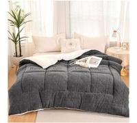 Thick and Super Soft Winter Quilt in Duvets, Warm Winter Quilt, Reversible Down Quilt, Thicken Lamb Cashmere Blanket, Single/Double for Home (Color : Blue Bleu, Size : 220x240cm(5kg))