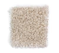 Thick Curly Faux Fur Fabric Sherpa Fleece Fabric for Lambskin Thermal Lined Material Sewing DIY Craft Material Blanket Hat Coats(Size:1.5 * 1m,Color:Beige)