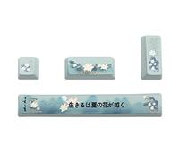 Thick PBT Dye Sub Keycaps Thermal Dye-Sublimation 6.25U Space Enter ESC OEM Profile 4PCS/Set Mechanical Keyboard Replacement Pbt Personalized