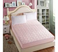 Thicken Quilted Mattress Cover King Queen Quilted Bed Fitted Bed Sheet Mattress Topper Air-Permeable Bed Pad (Color : D, Size : 2pcs pillowcase)