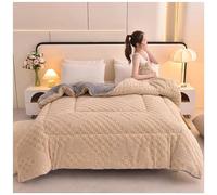 Thicken Super Soft Plush Winter Quilt, Double/Queen Size Reversible Sherpa Fleece Blanket, Breathable Warmth Fluffy Comforter for Cold Winter