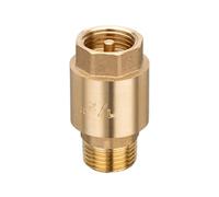Thickened Brass Check 6 Inch Vertical Design Leakproof Seal for Industrial and Home Use Reverse Flows None Return Valves for Plumbing