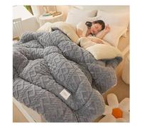 Thickened Super Soft Insulation Hibiscus Winter Quilt, Double-Sided Lamb Cashmere Comforter Core, Lamb Velvet Fabric Winter Quilt，Tower Hibiscus Winter Quilt for Winter Double Bed