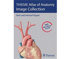 Thieme Atlas of Anatomy Image Collection: Neck and Internal Organs