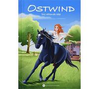 THiLO Lea Schmidbauer Kristina Ostwind - Die rettende Idee (Ostwind f (Hardback)