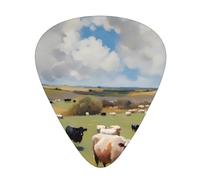 Thin, medium and heavy, 12 pieces guitar picks, huge farm wear-resistant guitar picks, suitable for guitar, bass, electric guitar, ukulele,