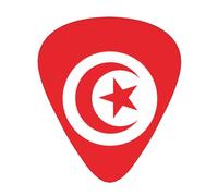 Thin, medium and heavy, 12 pieces guitar picks, Tunisian flag wear-resistant guitar picks, suitable for guitar, bass, electric guitar, ukulele,