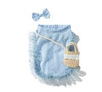 Thin Pet Lace Dress Comfortable with Bag and Hair Clip Cat Princess Skirt Breathable Dog Two Leg Clothes for Spring Summer