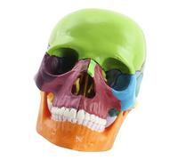 THINCAN Anatomy Skull Model Human Anatomical Skull Human Skull Model For Demonstrating Medical Skull Model Exploded Skull Model Human Skull Model For Artists