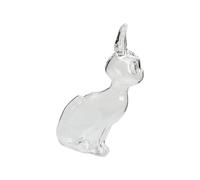 THINCAN Handcrafted Glass Pet Hair Memorial Decorative 19cm Container Showcasing Beloved Animal Hair Specimens Elegant Glass Pet Memorializing Jar